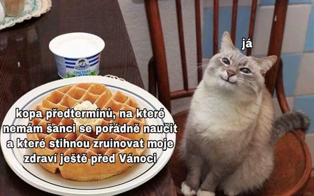 Autorka UPOL memes: Je to obecně důležitější než kdy předtím. Prozradí identitu?