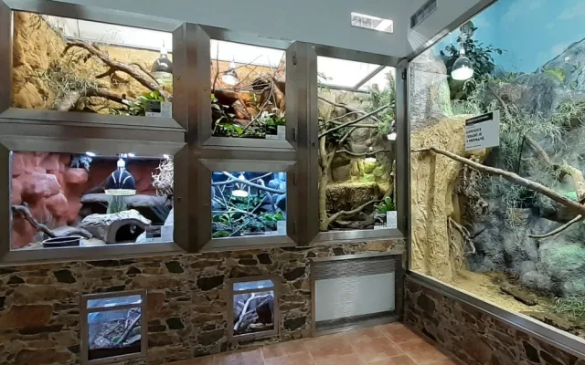 Olomoucká zoo rozšířila expozici s varany, užovkami a leguány