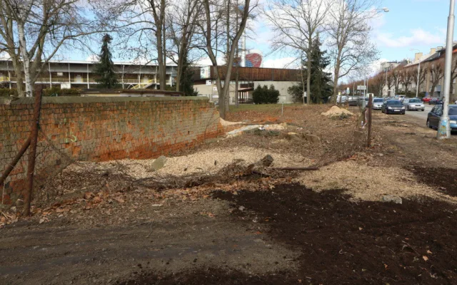 Olomoucká radnice připravuje revitalizaci parku. Začala kácet náletové dřeviny