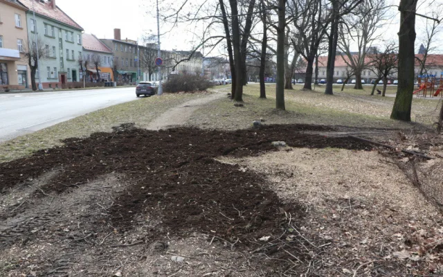 Olomoucká radnice připravuje revitalizaci parku. Začala kácet náletové dřeviny