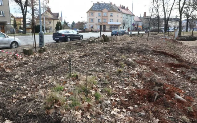 Olomoucká radnice připravuje revitalizaci parku. Začala kácet náletové dřeviny