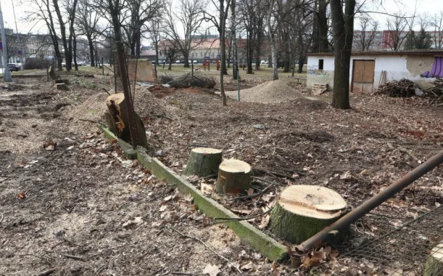 Olomoucká radnice připravuje revitalizaci parku. Začala kácet náletové dřeviny