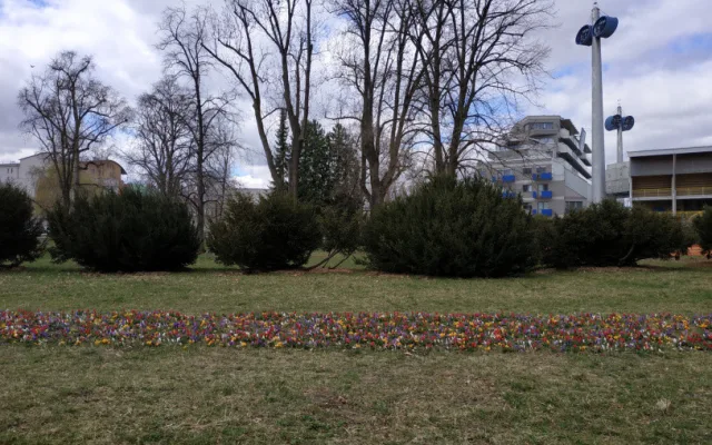Pestrobarevné květiny na jaře ozdobí několik nových míst v Olomouci