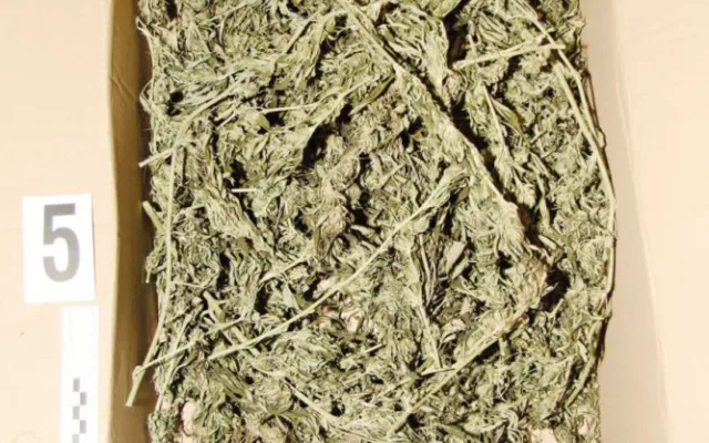 Policie našla v bytě v Hranicích krabice se třemi kilogramy marihuany