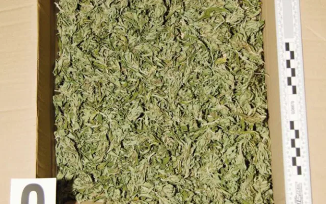 Policie našla v bytě v Hranicích krabice se třemi kilogramy marihuany