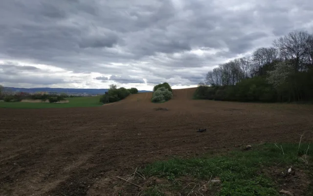 Zanedbaná lokalita ve Slavoníně se možná promění na rekreační oblast