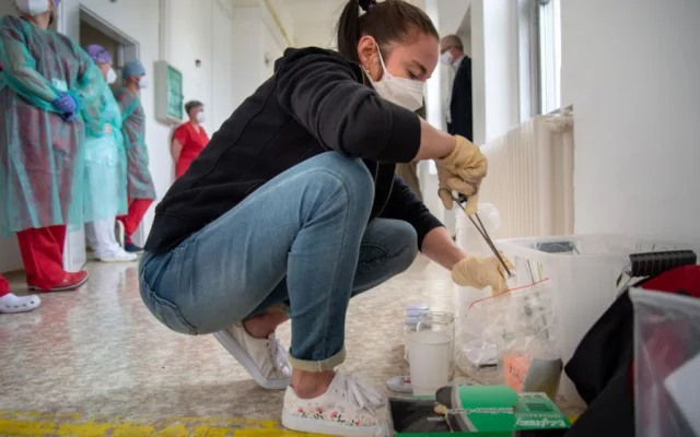 Psi odhalí covid lépe než antigenní test, přesvědčili se olomoučtí lékaři