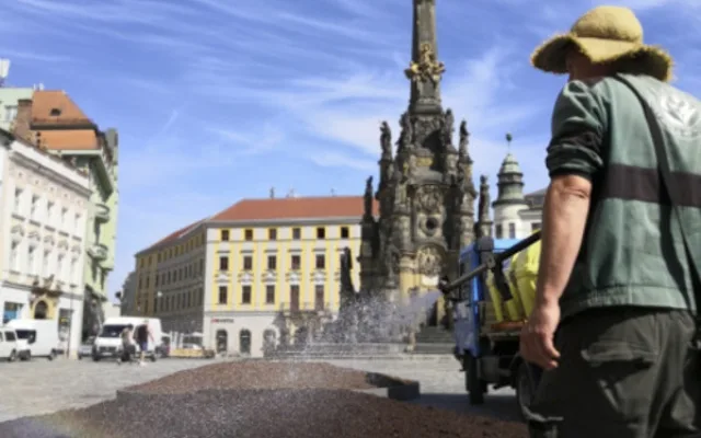 Květinová výzdoba na olomouckém Horním náměstí