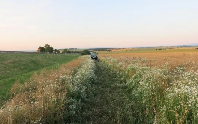 Mladý řidič chtěl vyhnat vosu z auta, přerazil značku a sjel z dálnice