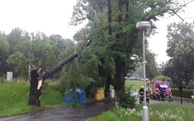 Kvůli bouřkám měli hasiči v Olomouckém kraji již desítky výjezdů. Strom spadl i na kolejiště