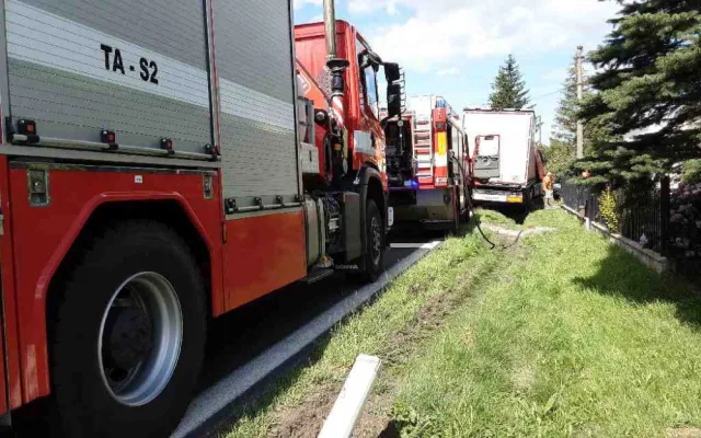 Nehody si vzaly dva životy. Kamion smetl osobní auto, dodávka narazila do stromu