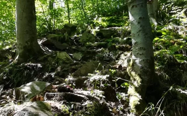 Žena si zranila nohu na vrcholu skály. Hasiči ji museli snést po strmé a úzké stezce