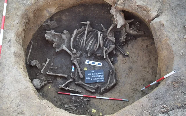 V oblasti v okolí Přerova probíhal čtyřletý rozsáhlý archeologický průzkum. Archeologové našli šperky, mince i pohřby z doby bronzové