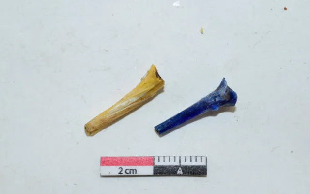 Archeologové u Němčic nad Hanou zkoumají keltskou sklářskou dílnu. Nejstarší severně od Alp
