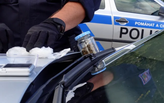 Policisté při razii dopadli mladíka s desítkami psychotropních lysohlávek