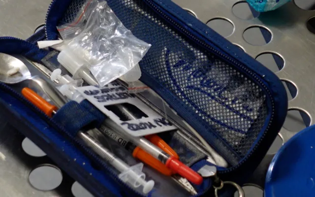 Policisté při razii dopadli mladíka s desítkami psychotropních lysohlávek