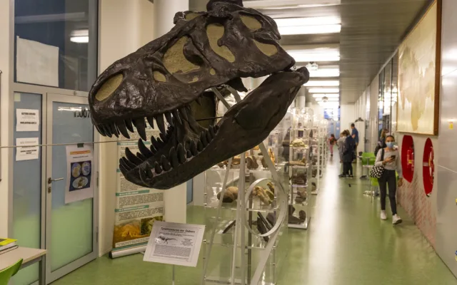 I v letošním ročníku Noci vědců byla jedním z center prezentací a pokusů Přírodovědecká fakulta Univerzity Palackého či popularizační muzeum vědy Pevnost poznání