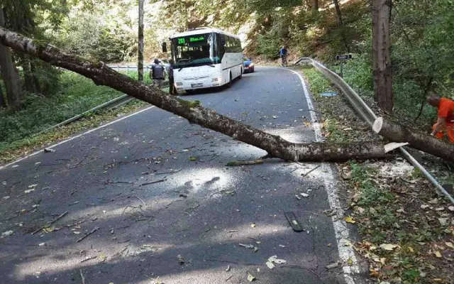 Zejména popadané stromy způsobují na řadě míst v regionu komplikace.