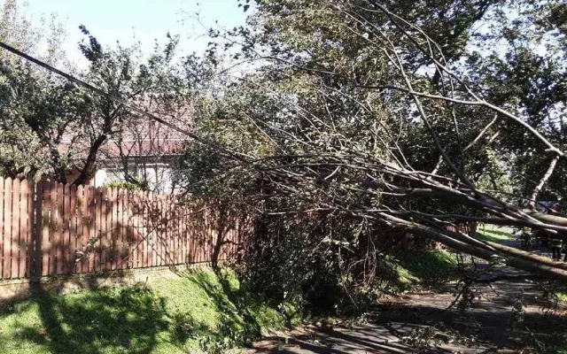 Zejména popadané stromy způsobují na řadě míst v regionu komplikace.