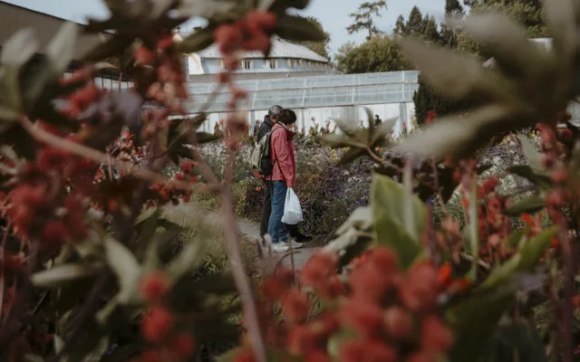 Snímek z minulého ročníku výstavy Flora Olomouc - ilustrační foto