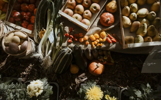 Snímek z minulého ročníku výstavy Flora Olomouc - ilustrační foto