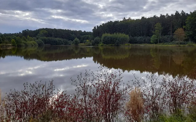 Nové arboretum Osina bude určené lesníkům, studentům i návštěvníkům z řad veřejnosti