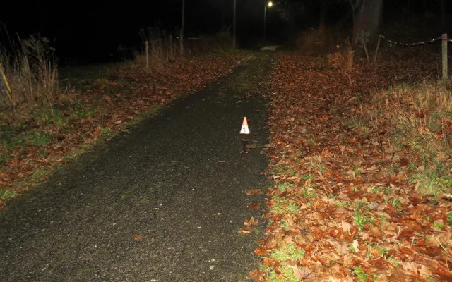 Fotografie místa, kde auto srazilo sedmnáctiletého chlapce