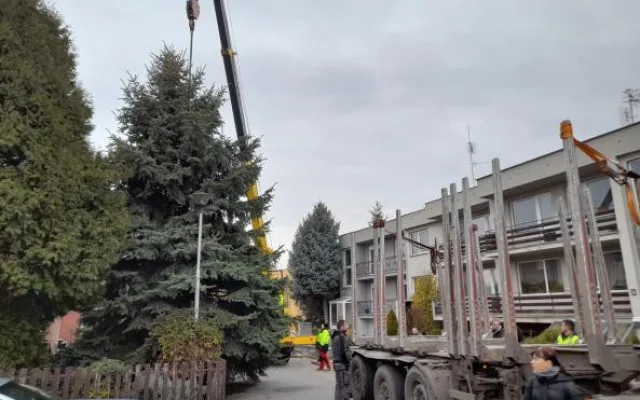 V Prostějově budí pozornost křivý vánoční strom. Je to jen z jedné strany, brání se město