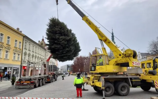 V Prostějově budí pozornost křivý vánoční strom. Je to jen z jedné strany, brání se město