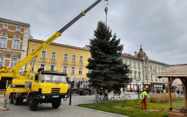V Prostějově budí pozornost křivý vánoční strom. Je to jen z jedné strany, brání se město