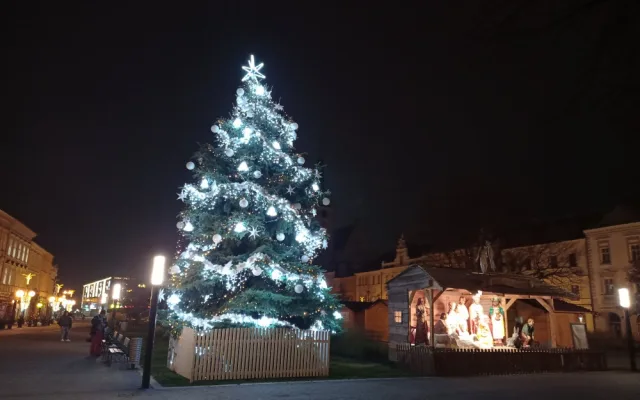 V Prostějově budí pozornost křivý vánoční strom. Radnice to bere s nadhledem