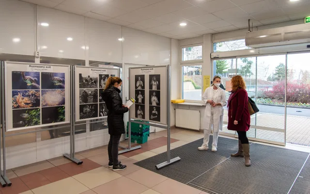 Výstava Rozmazaný svět v foyer budovy A olomoucké fakultní nemocnice