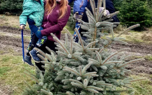 Plantáž vánočních stromů Bělecký mlýn na Prostějovsku