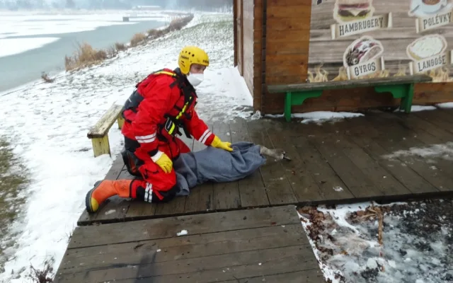 Hasiči měli v Olomoucké kraji přes Vánoce na pilno. Zachraňovali i labuť nebo hasili saunu