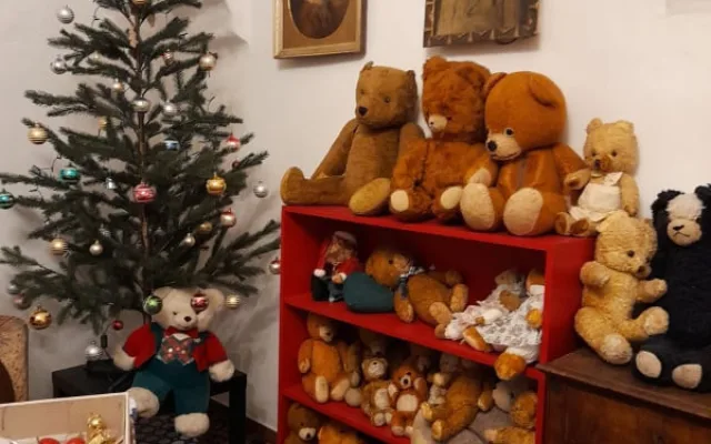 Sběratelka má plyšovými medvědy zateplenou půdu. Nyní je vystavuje v Hranicích