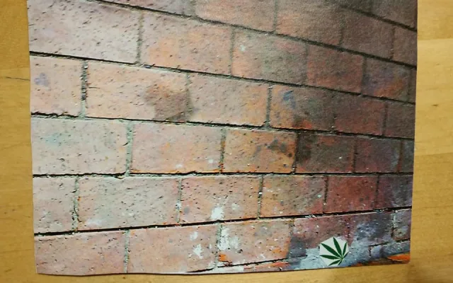 Konopný léčitel dnes za mřížemi oslavil šedesátiny. Dostal album s fotografiemi vnuka