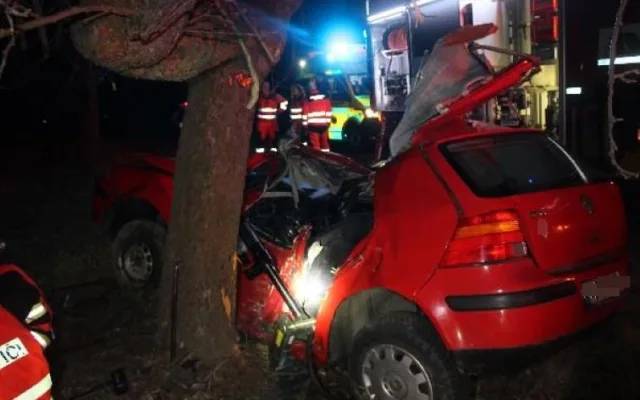 Mladý řidič nepřežil u Dlouhé Loučky náraz do stromu. Při předjíždění dostal smysk
