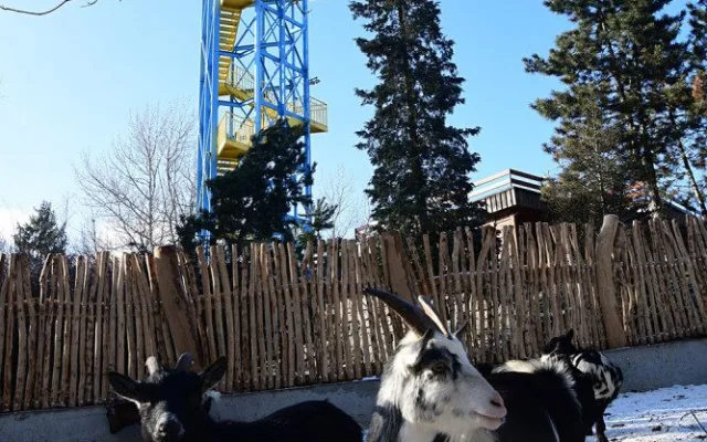 Olomoucká zoo zvelebila jeden z nejoblíbenějších výběhů. Apeluje i na správné chování ke kozám