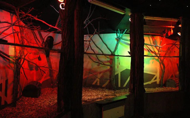Ve dne noc a naopak. Pavilon netopýrů v Zoo Olomouc prochází rekonstrukcí