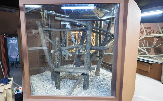 Ve dne noc a naopak. Pavilon netopýrů v Zoo Olomouc prochází rekonstrukcí