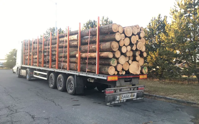 Cizinec odmítl najet s náklaďákem na váhu, raději na místě zaplatil sto tisíc