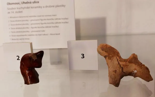 Ve věži olomoucké radnice bude ke shlédnutí výstava archeologických nálezů