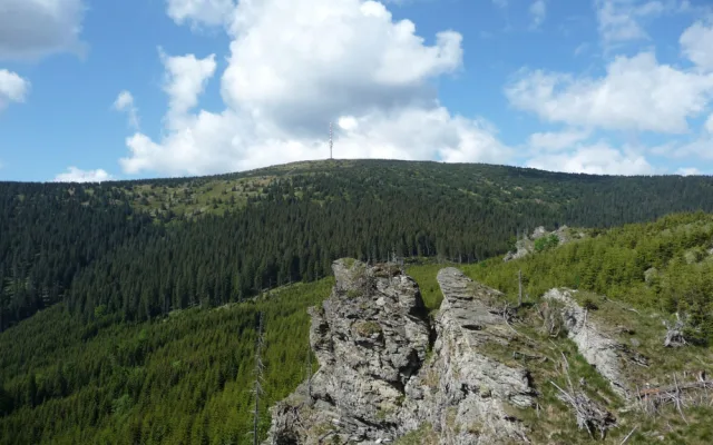 Horské smrčiny pod vrcholem Pradědu