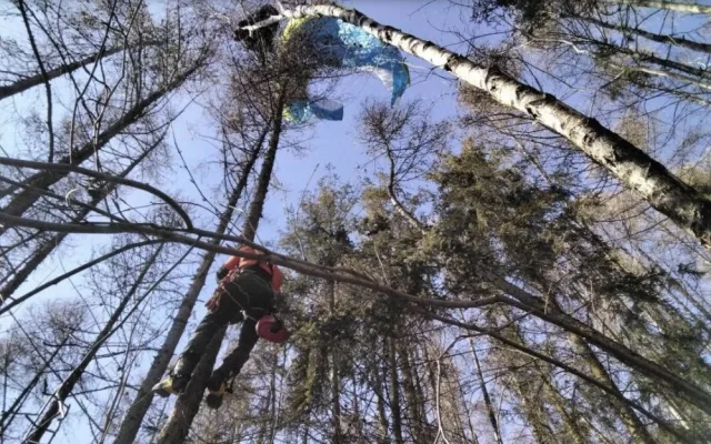 Paraglidista uvízl na stromě u Milenova. Muž vyvázl bez zranění