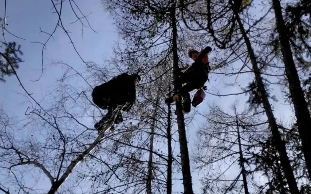 Paraglidista uvízl na stromě u Milenova. Muž vyvázl bez zranění