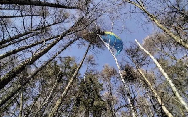 Paraglidista uvízl na stromě u Milenova. Muž vyvázl bez zranění