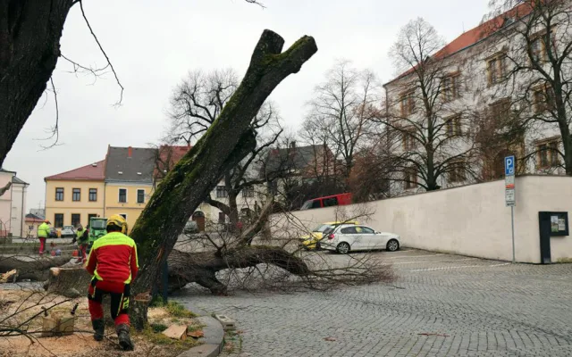 Šest staletých líp na přerovském Horním náměstí pokáceli pracovníci odborné firmy