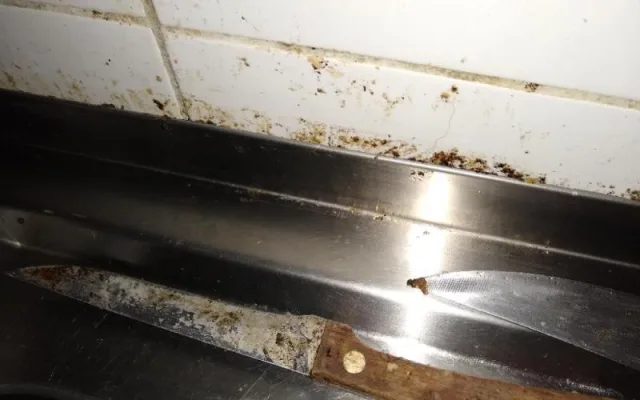 Nános špíny na nožích i myší trus ve skladu. Inspekce zavřela olomouckou restauraci