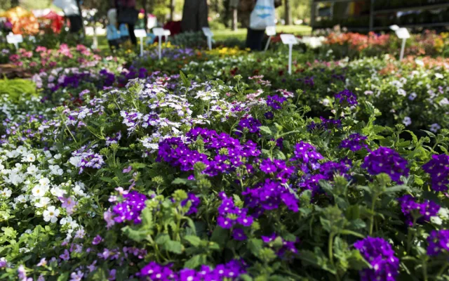 Výstava Flora Olomouc
