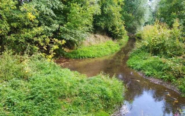 Prostějov chce ve Vrahovicích postavit nový park. Hloučelu však likviduje, namítají kritici